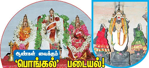ஆண்கள் வைக்கும் 'பொங்கல்' படையல்!