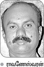 நீங்கள் கேட்டவை: அயிரை மீன் விலை கிலோ, ஆயிரம் ரூபாய்?