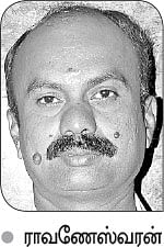 நீங்கள் கேட்டவை: அயிரை மீன் விலை கிலோ, ஆயிரம் ரூபாய்?