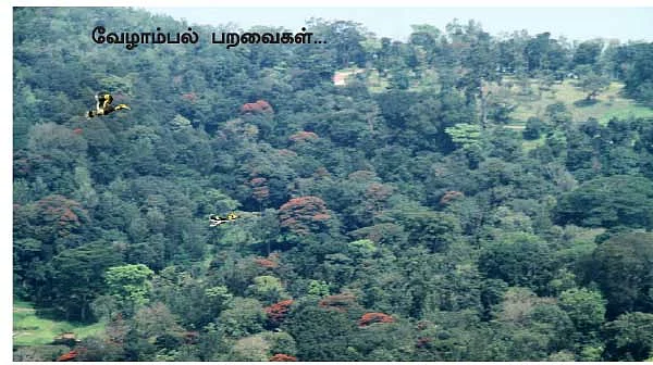 நெஞ்சை அள்ளிய நெல்லியம்பதி!