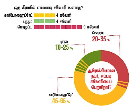 கலோரி கைடு