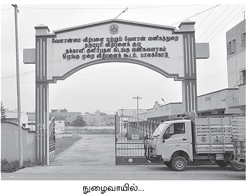 தக்காளி சேமிக்க தடை இல்லை!
