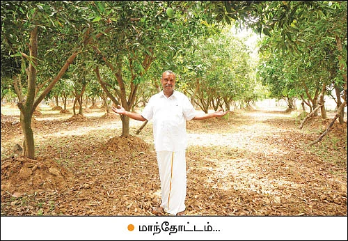 அன்று தொழிலதிபர்... இன்று இயற்கை விவசாயி!