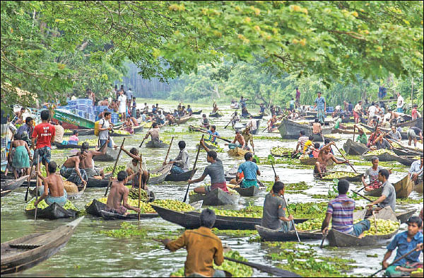 மண்புழு மன்னாரு: டெல்டாவில் விளையும் கொய்யா... வழிகாட்டும் வங்கதேசம்!
