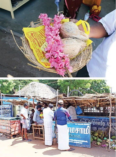 நாரதர் உலா