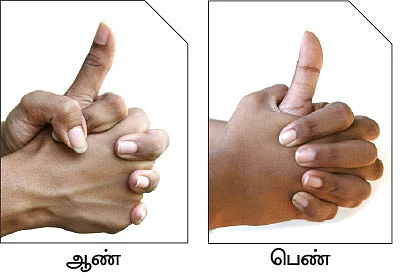 விரல்கள் செய்யும் விந்தை