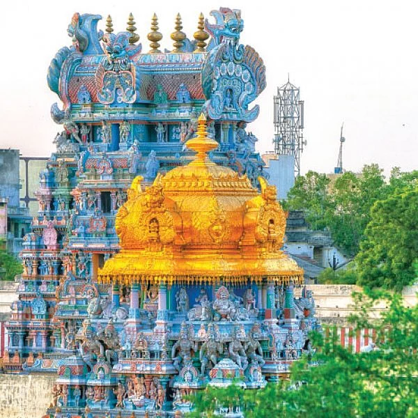 நாரதர் உலா - மீண்டும் அனுமதி மீனாட்சி ஆலயத்தில்!