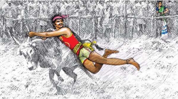 ஜல்லிக்கட்டு