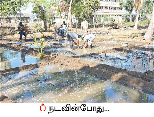 ஒரு நாள் விவசாயி! பருவம் 2 - பண்ணையை நோக்கி பயனுள்ள பயணம்
