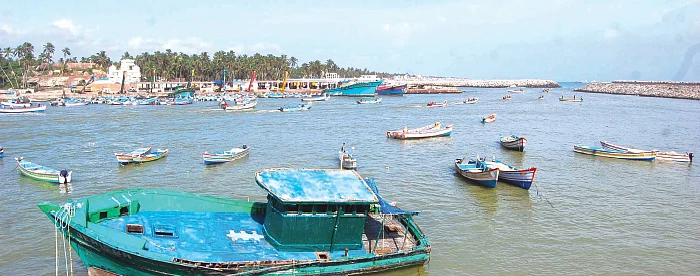கேரளா துறைமுகத்துக்காக... குமரி மலைகள் சூறையாடல்!