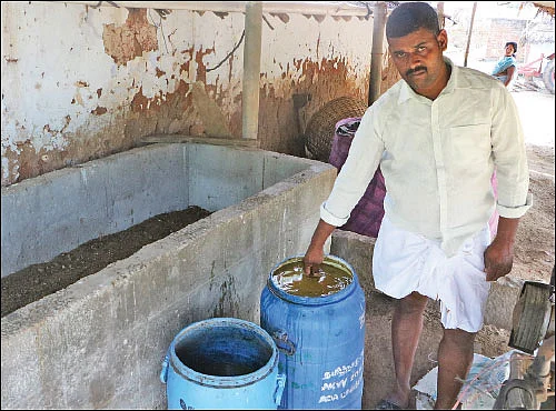 மாதம் ரூ. 30,000... சரியான வருமானம் கொடுக்கும் சம்பங்கி!