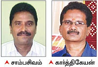 ஒரே தொட்டியில் இரண்டு செடிகள் வளர்க்கலாமா..?