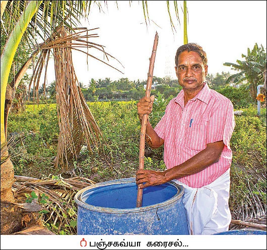 1 ஏக்கர்... 8 மாதங்கள்... ரூ1 லட்சத்து 55 ஆயிரம்... மஞ்சள் கொடுக்கும் மணக்கும் லாபம்!