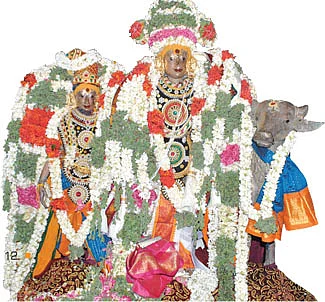 தடைகள் நீக்கும் தாண்டவர்தோட்டம்