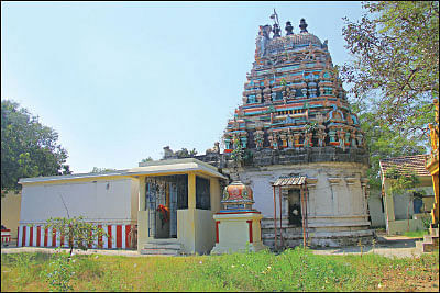 கயிலை... காலடி... காஞ்சி! - 23 - ‘ஒரு தார்ல 1008 பழம் இருக்கறதை பார்த்திருக்கியோ?’