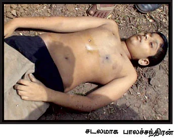 புலித்தடம் தேடி...