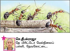 சுட்டி நியூஸ்