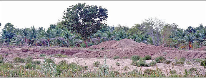 மதுரையில் தொடரும் மணல் கொள்ளை! - துணைபோகிறார்களா அதிகாரிகள்?