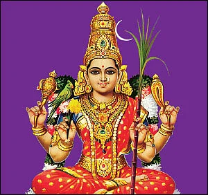 2016 புத்தாண்டு ராசிபலன்கள்
