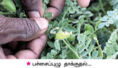 மரத்தடி மாநாடு