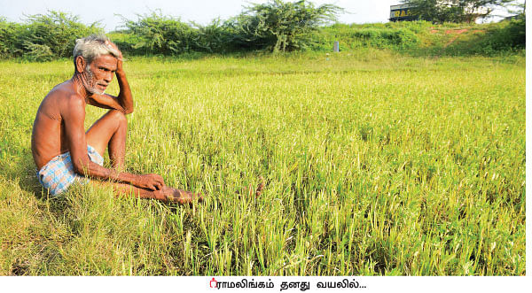 “வறட்சியை வெல்ல பாரம்பர்யத்தைக் கையில் எடுங்கள்...”