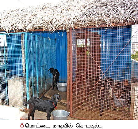 ஆண்டுக்கு ரூ 60 ஆயிரம் வருமானம்!