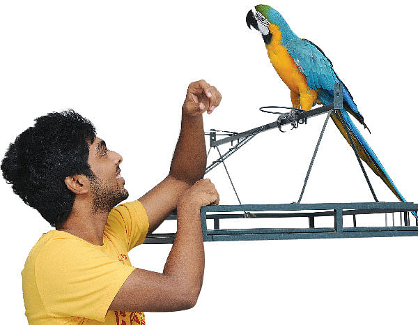 ஆனந்தம் விளையாடும் வீடு! - 2