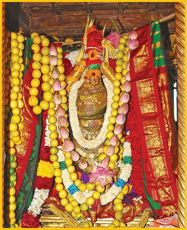 அம்பிகையின் அருள்கோலம்!