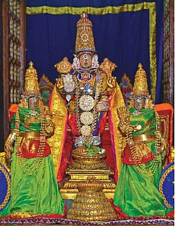 அஷ்ட ஐஸ்வர்யங்களும் அருளும் மயூரவல்லித் தாயாருக்கு வில்வார்ச்சனை!