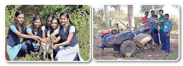 வயலுக்குச் சென்றோம் விவசாயம் படித்தோம்!