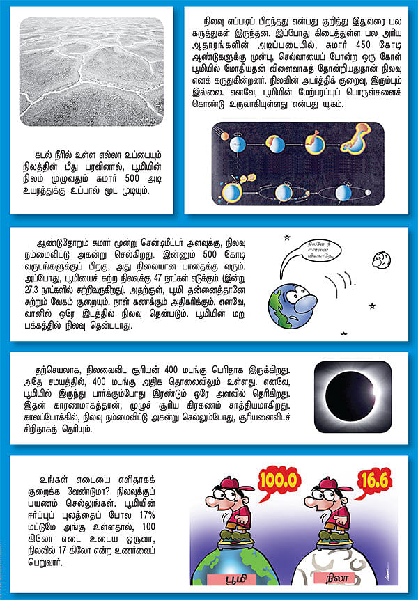 உயிர்கள் அனைத்துக்கும் தாய் ! - பூமி