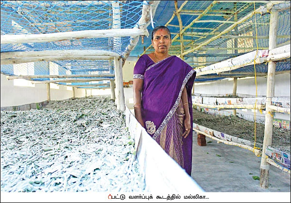 மானியங்களை அள்ளிக் கொடுக்கும் பட்டுவளர்ச்சித் துறை!