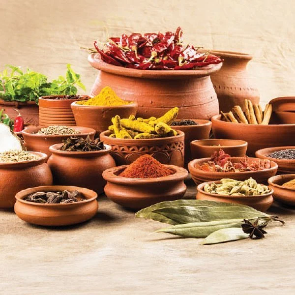 உணவின் முழுச்சத்துகளுக்கும் உத்தரவாதம் தரும் மண்பானை சமையல் மகிமை! #Pongal