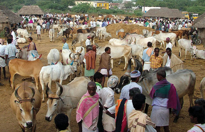 நம்ம ஊரு நம்ம மண் - நம்ம ஊரு இடங்கள்