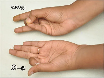 விரல்கள் செய்யும் விந்தை