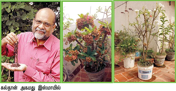 உரமாகுது காய்கறி கழிவு... மிச்சமாகுது தினசரி செலவு!