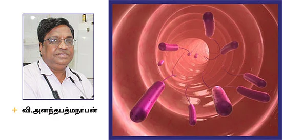 நுண்ணுயிரிகள் நல்லதா? கெட்டதா?