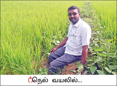 அன்று கல்லுக்கொல்லை... இன்று நெல்லுக்கொல்லை! - வீணான நிலம் விளைநிலமான கதை