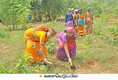’ஒரு நாள் விவசாயி!’