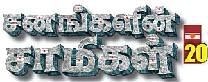 சனங்களின் சாமிகள் - 20