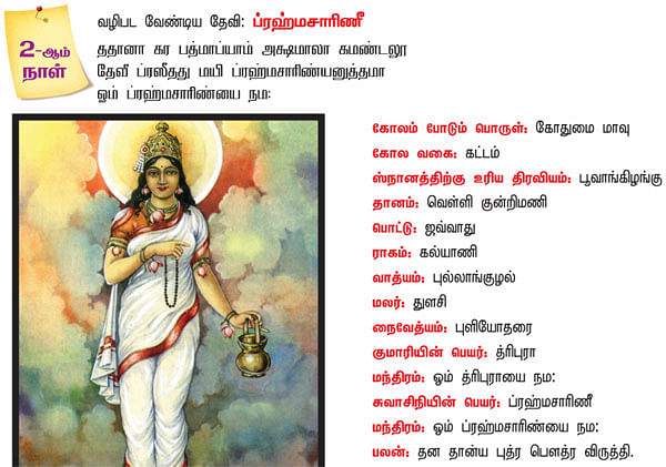 சக்தியை சரணடைவோம்!