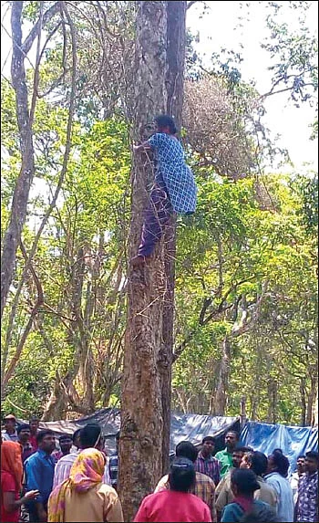 முத்தம்மாக்கள் ஏன் போராடுகிறார்கள்?!