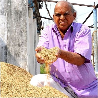 இரண்டு ஏக்கர்... 130 நாட்கள்... ரூ1 லட்சம் லாபம்! - இயற்கையில் இனிக்கும் நெல்!