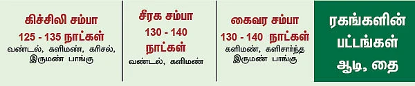 சீரக சம்பா, கிச்சிலி சம்பா, சொர்ணமசூரி...