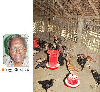 நீங்கள் கேட்டவை : துளசியை ஏக்கர் கணக்கில் சாகுபடி செய்ய முடியுமா?