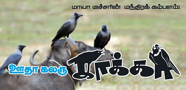 மாயா டீச்சரின் மந்திரக் கம்பளம்!