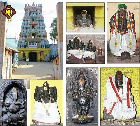 புஷ்பவனக்காசியில் 14 விநாயகர்கள்!