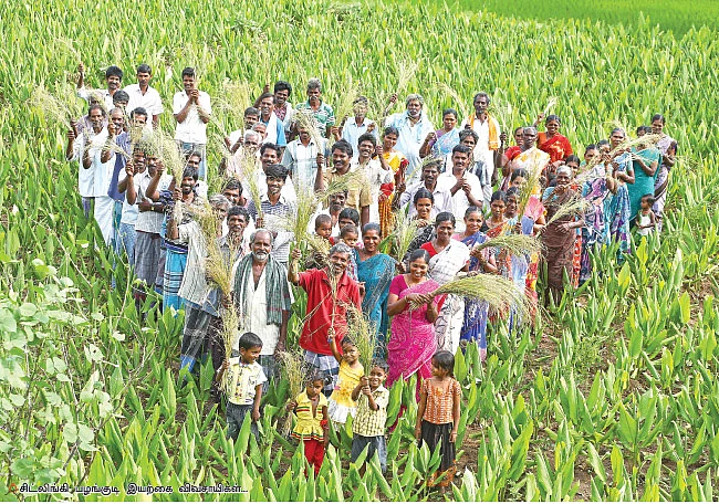 சிட்லிங்கி... இயற்கைக்குத் திரும்பிய 300 விவசாயிகளின் வெற்றிக் கதை!