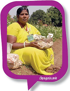 வாழ்க்கைக்கு வழி...உழைப்புக்கு விருது...