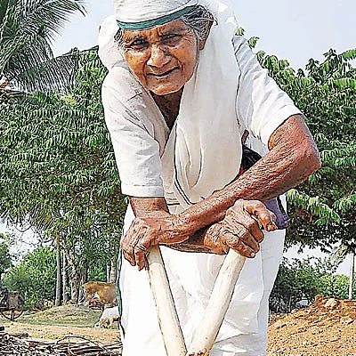 சோளச்சோறும் தவிட்டுக்குழம்பும்! - பாட்டி காலத்து உணவு